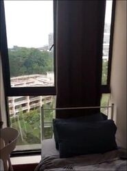 Dover Parkview (D5), Condominium #534590631